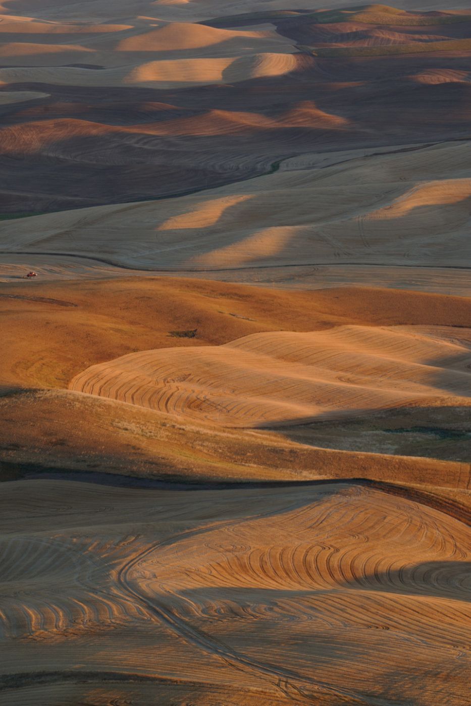 Palouse sunset, USA