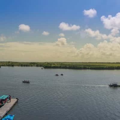 Pichavaram Mangrove Forest, India