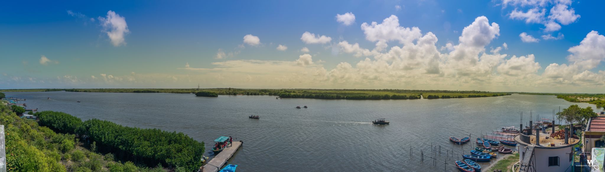 Pichavaram Mangrove Forest, India