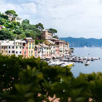 Port of Portofino, Italia, Italy