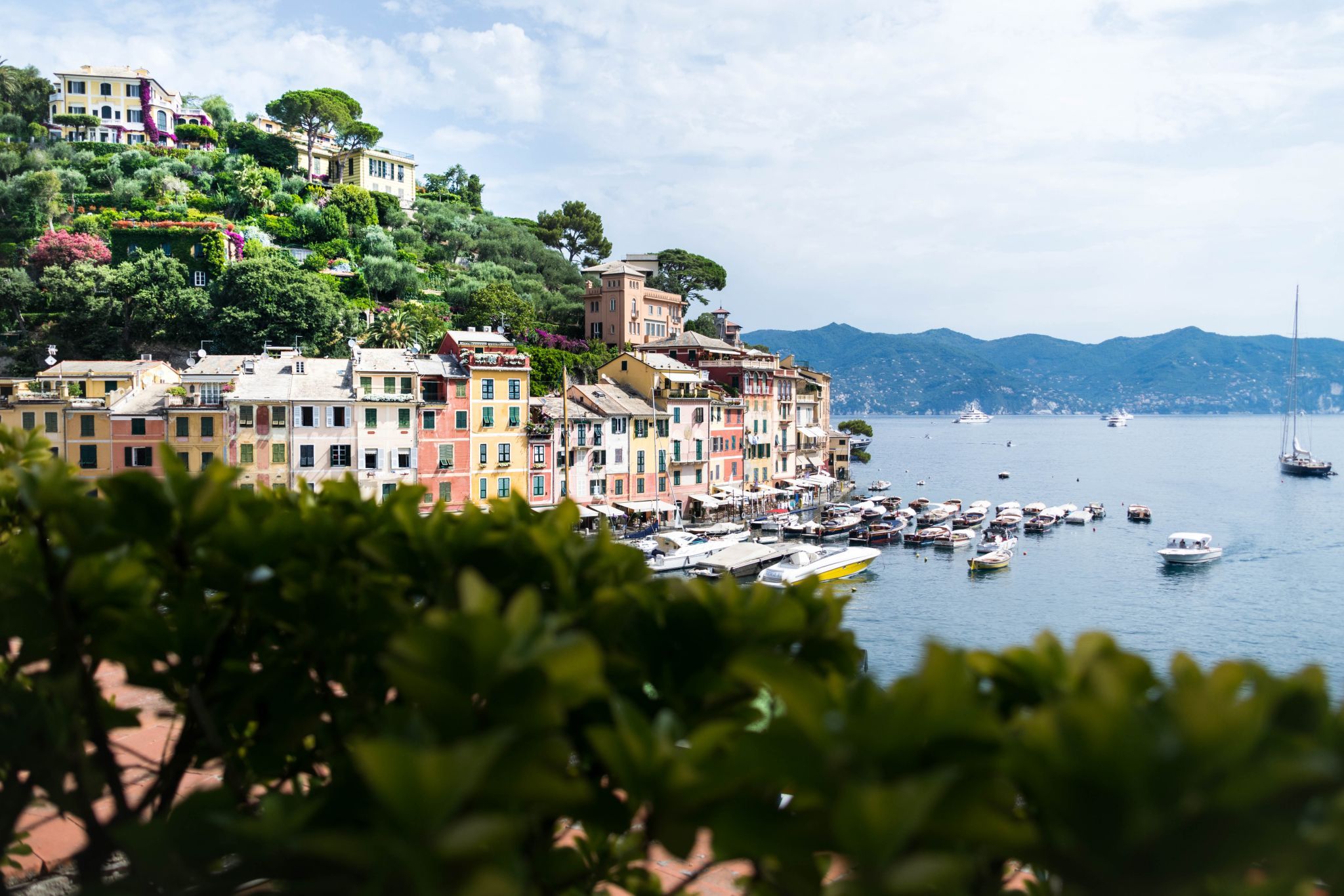 Port of Portofino, Italia, Italy