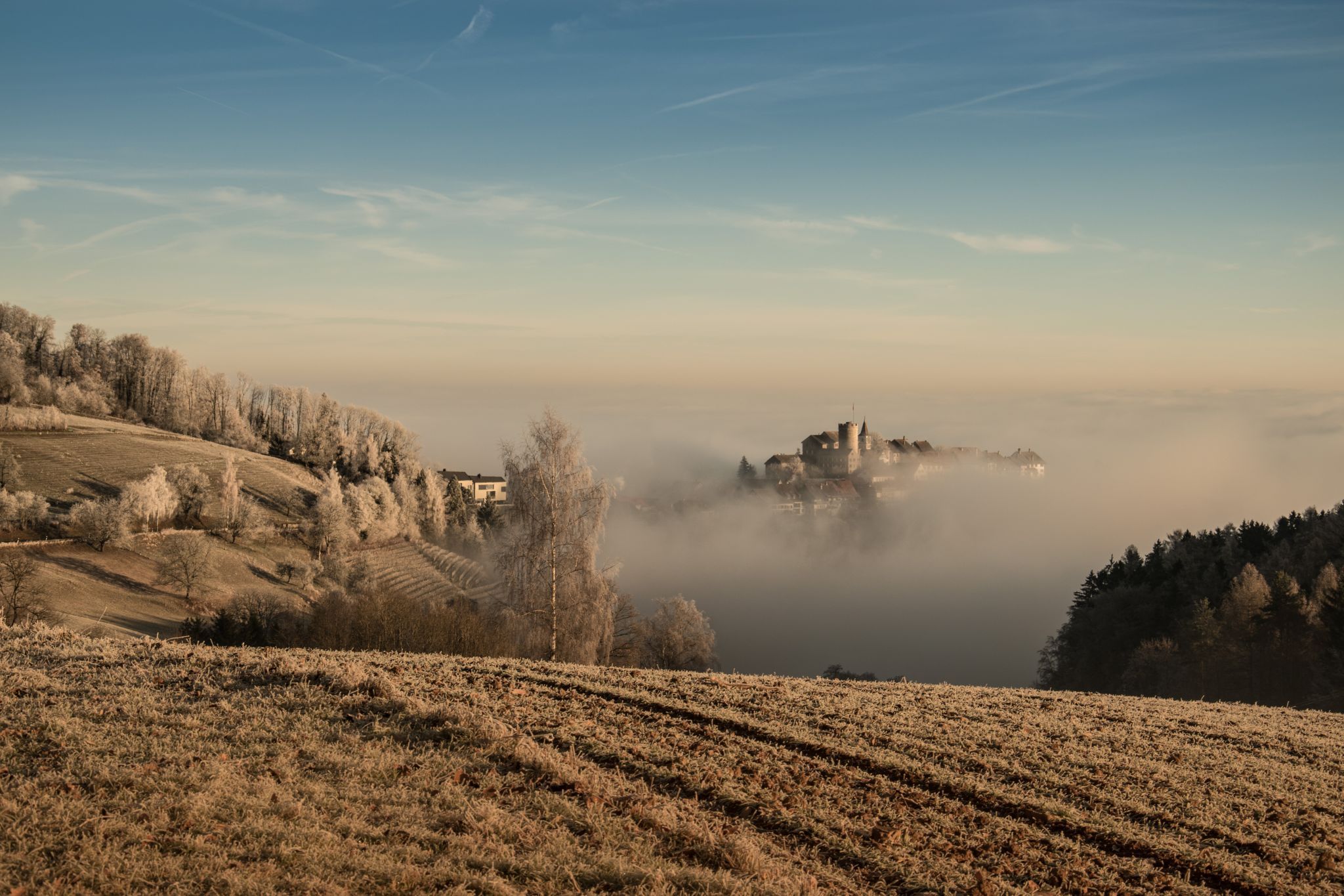 Regensberg castle, Switzerland