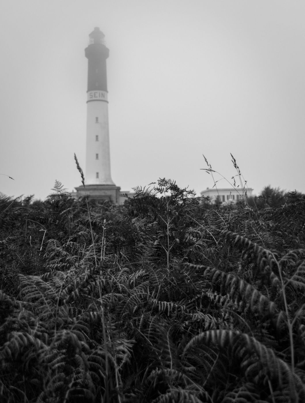 Sein island lighthouse, France