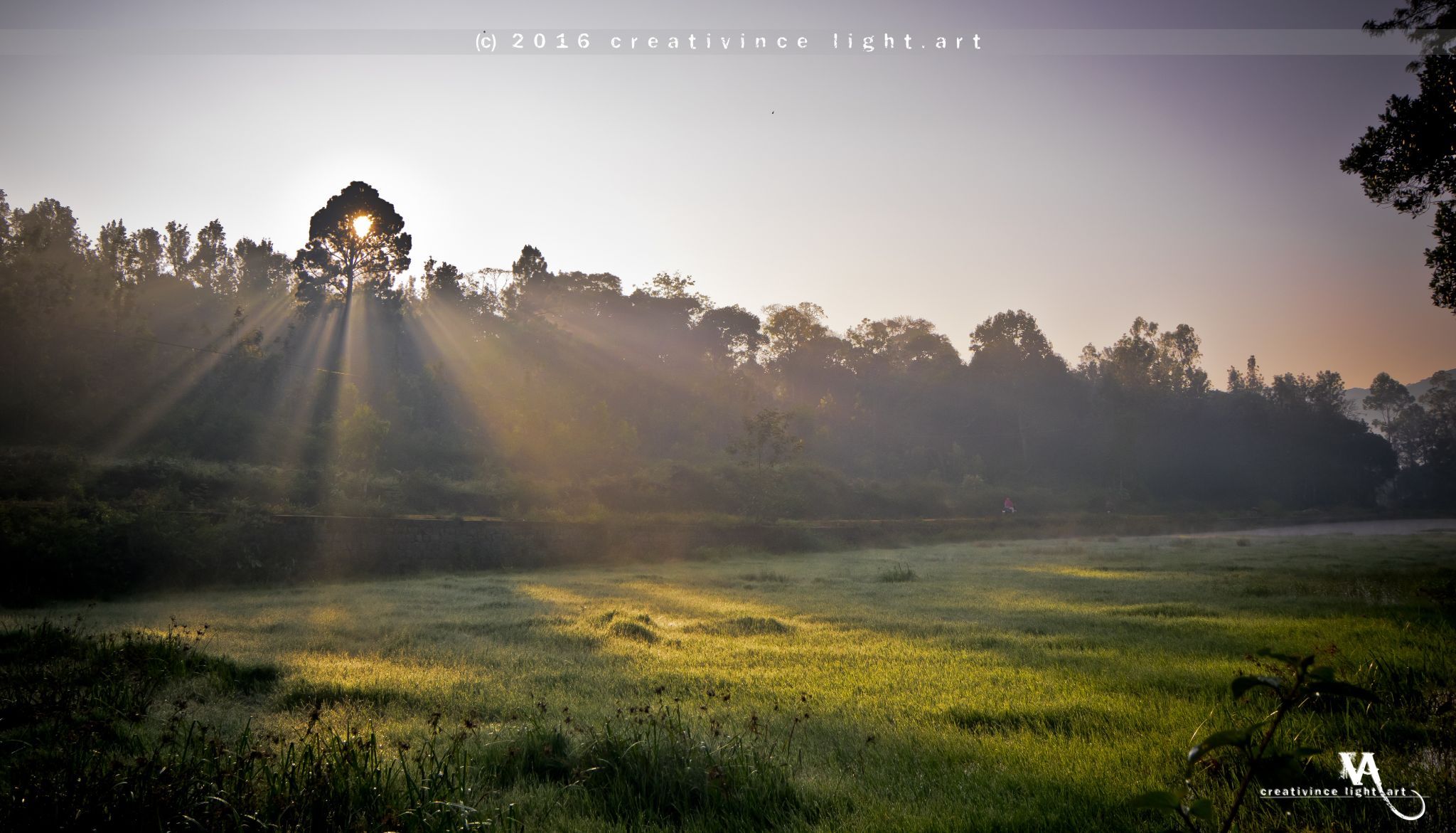 Sunrise behind tree, NPS Lakeview Resort, India