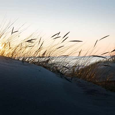 Sunset on the sand dunes, Palanga, Lithuania