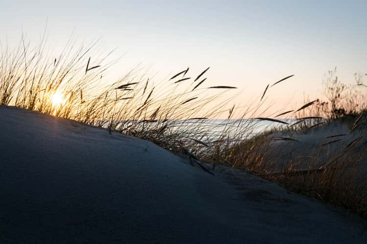 Sunset on the sand dunes, Palanga