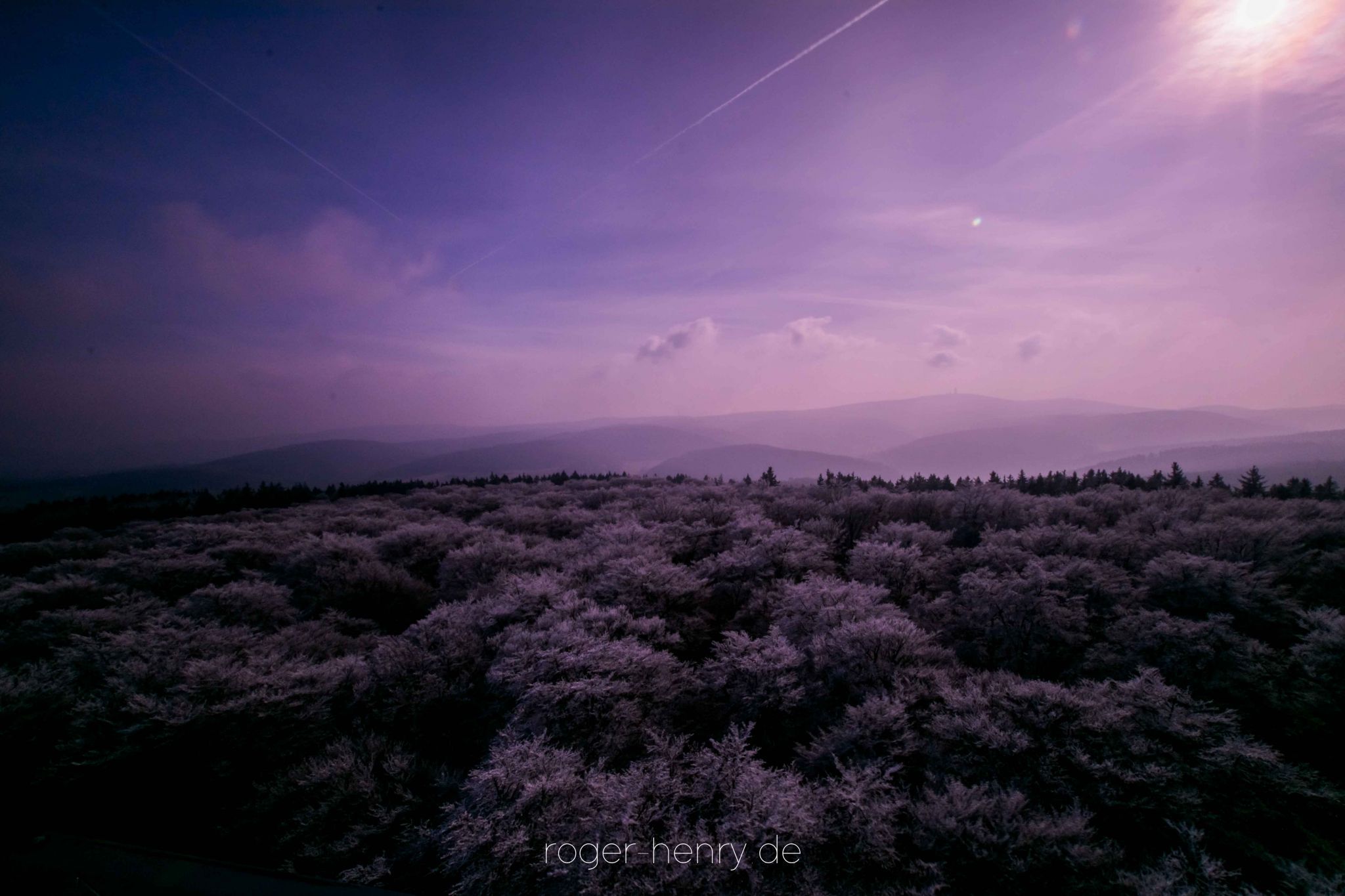 Taunus, Treisberg, Pferdskopf, Germany