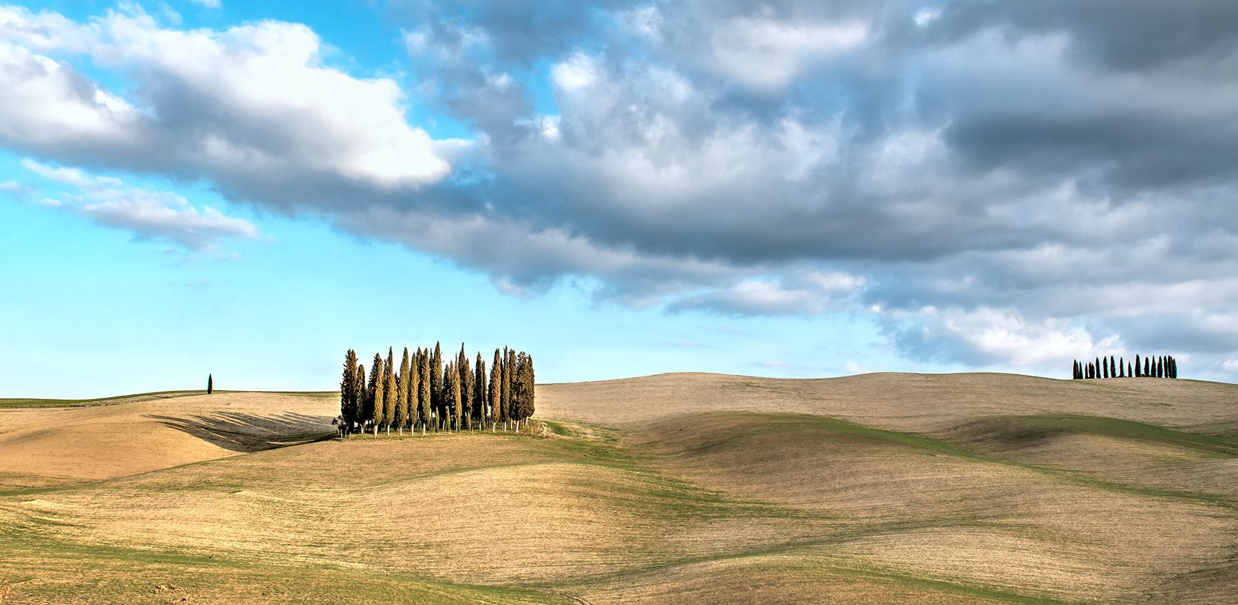 Tuscany Grove, Italy