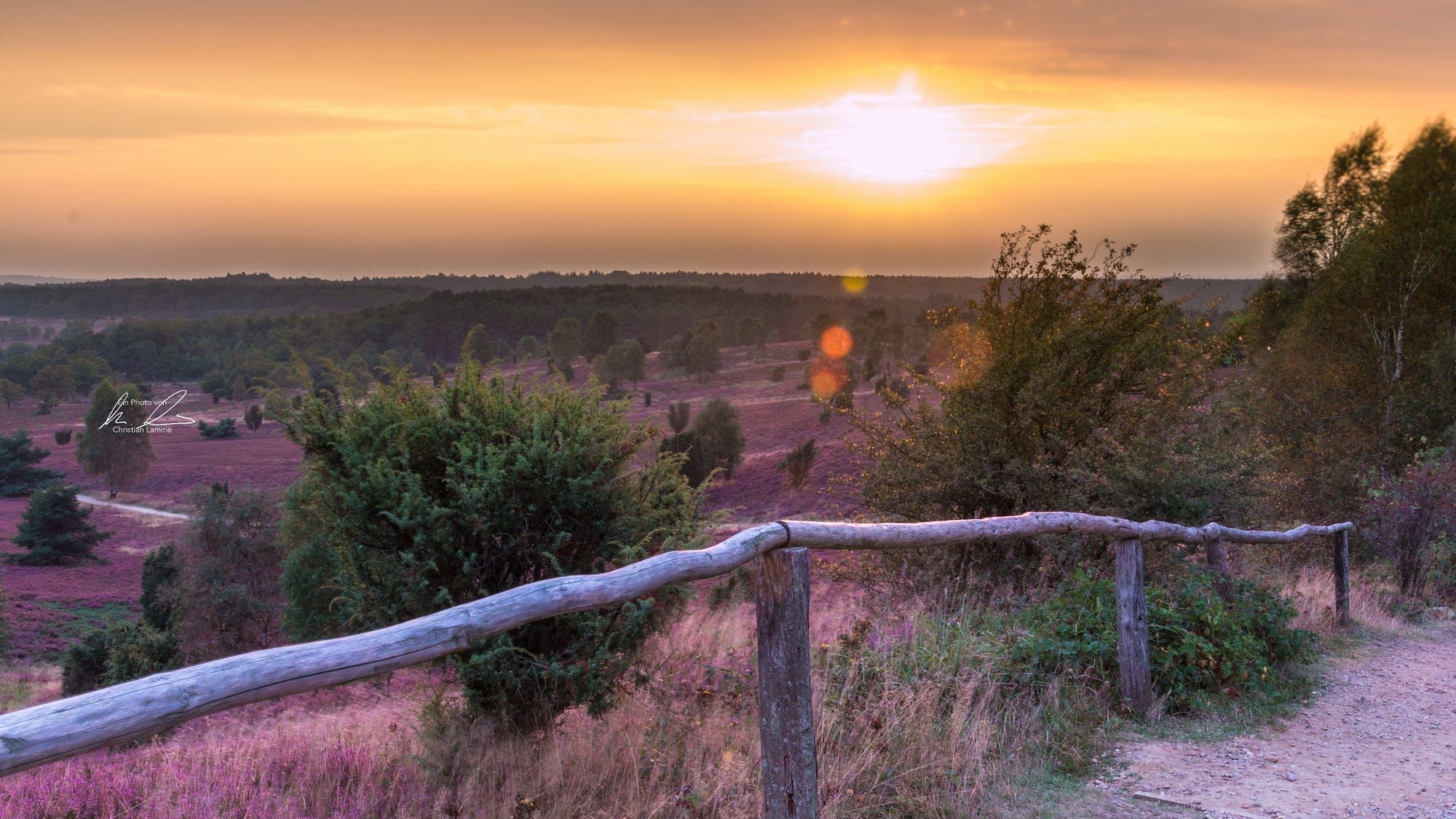 Wilseder Berg, Lüneburger Heide, Germany