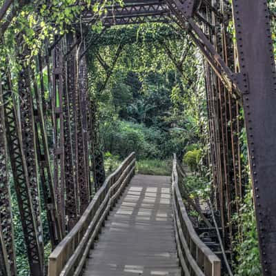 Abandoned railroad bridge, Jamaica