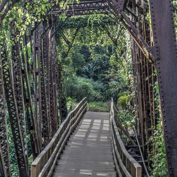 Abandoned railroad bridge, Jamaica