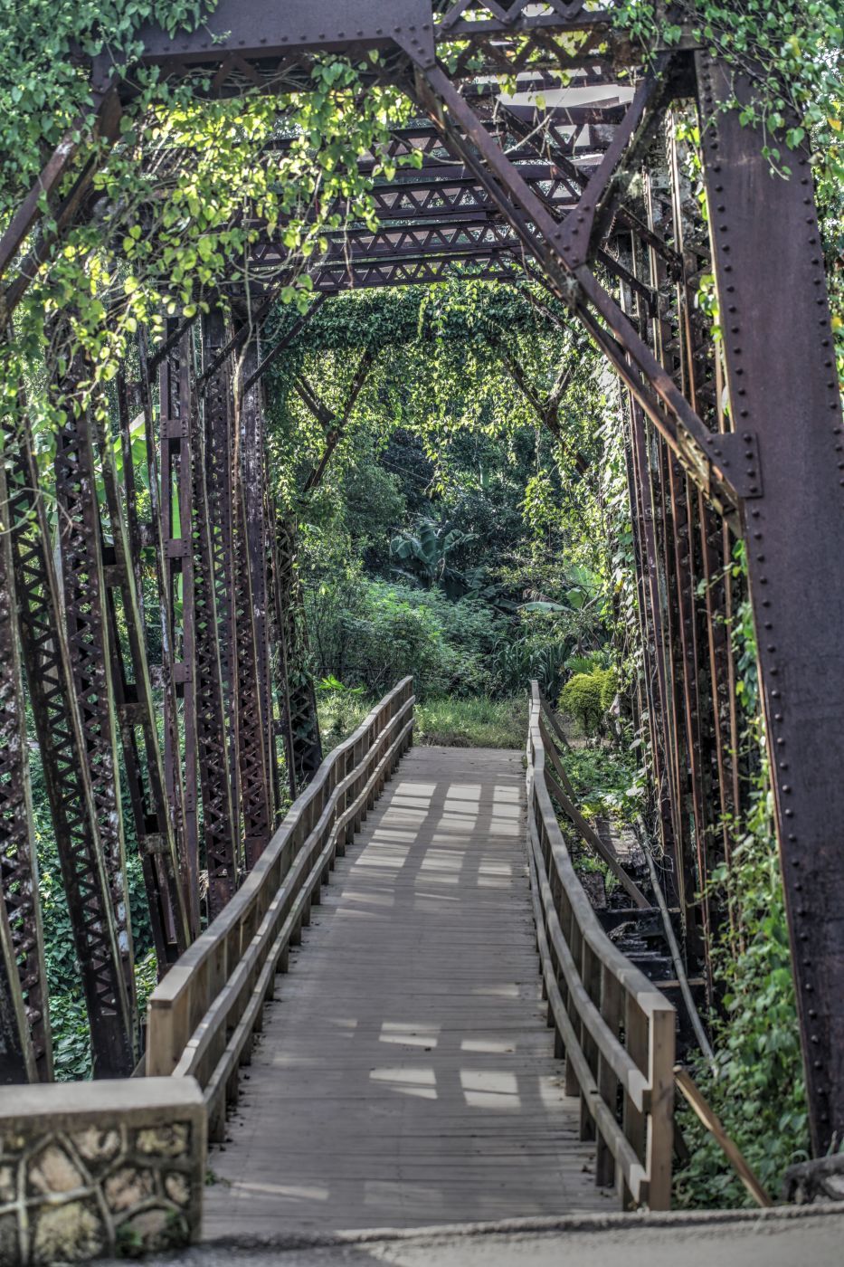 Abandoned railroad bridge, Jamaica