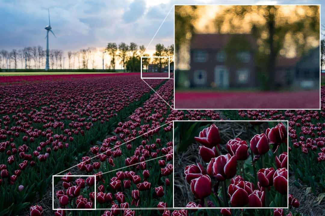 The initial problem: When you have objects that are very near to the camera and you focus the foreground, the flowers obviously get pretty sharp. The background is very blurry though.