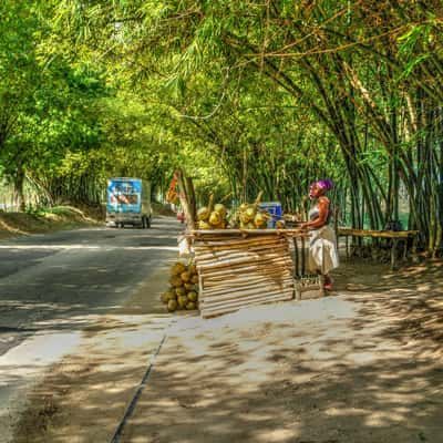 Bamboo Avenue, Jamaica, Jamaica