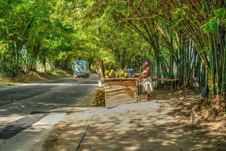 Bamboo Avenue, Jamaica