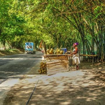 Bamboo Avenue, Jamaica, Jamaica