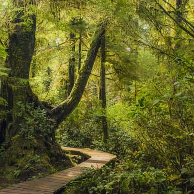 Boardwalk Trail to Schooner Bay, Canada