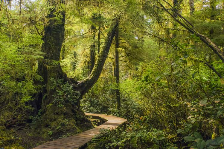 Boardwalk Trail to Schooner Bay