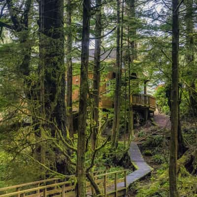 Cabin in the Rainforest, Canada