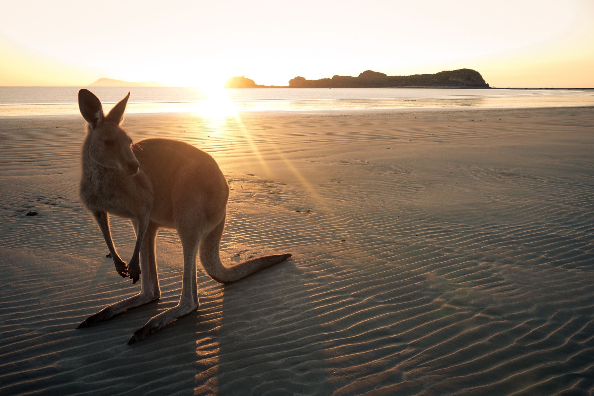 Cape Hillsborough, Queensland, Australia