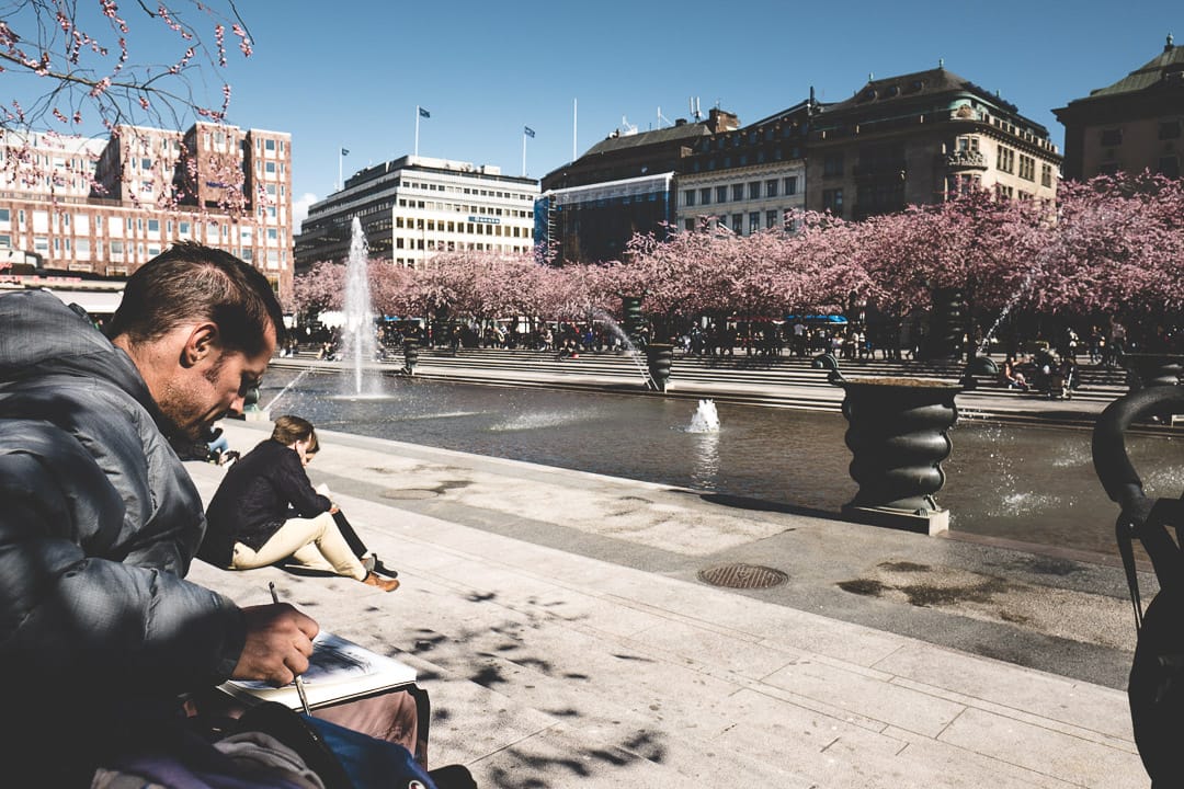 Cherry Blossoms of Kungsträdgården, Sweden