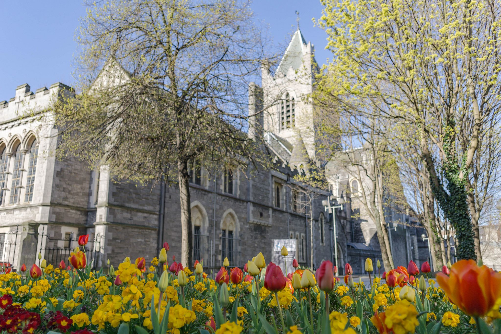 Christ Church Cathedral, Dublin, Ireland