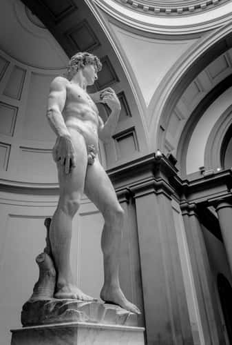 David