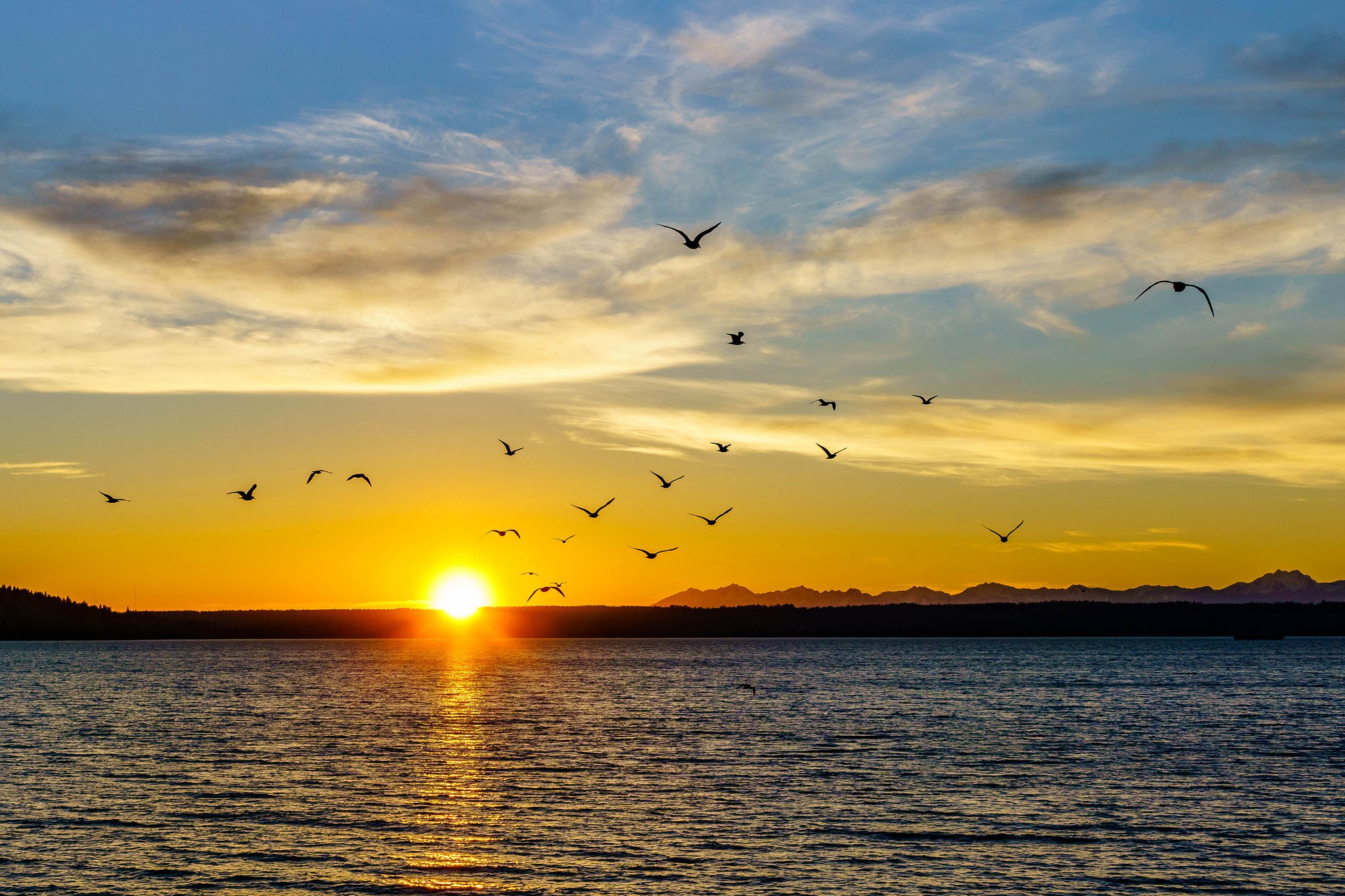 Des Moines Marina, Seattle, USA