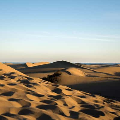 Dünen von Maspalomas, Spain