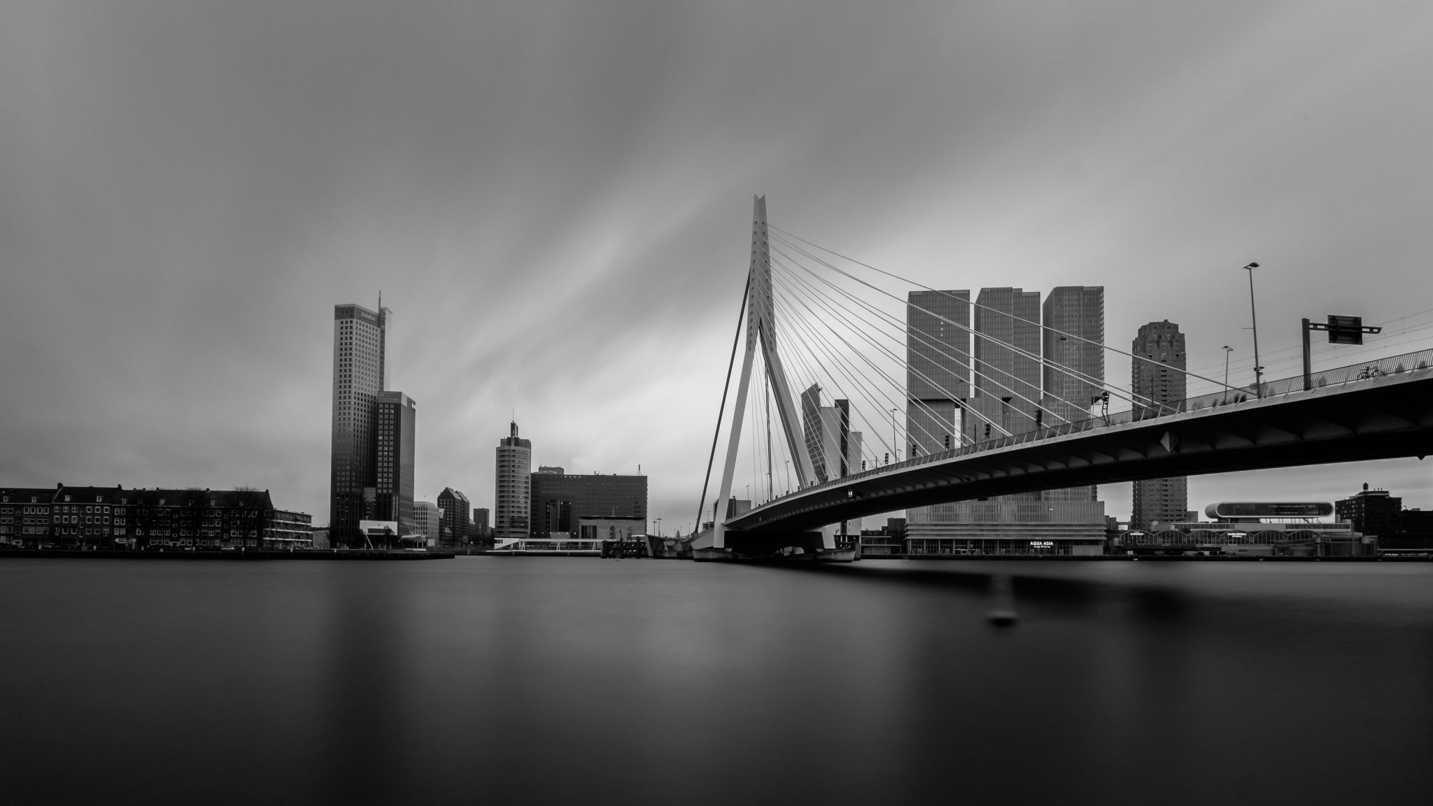 Erasmus Bridge, Rotterdam, Netherlands