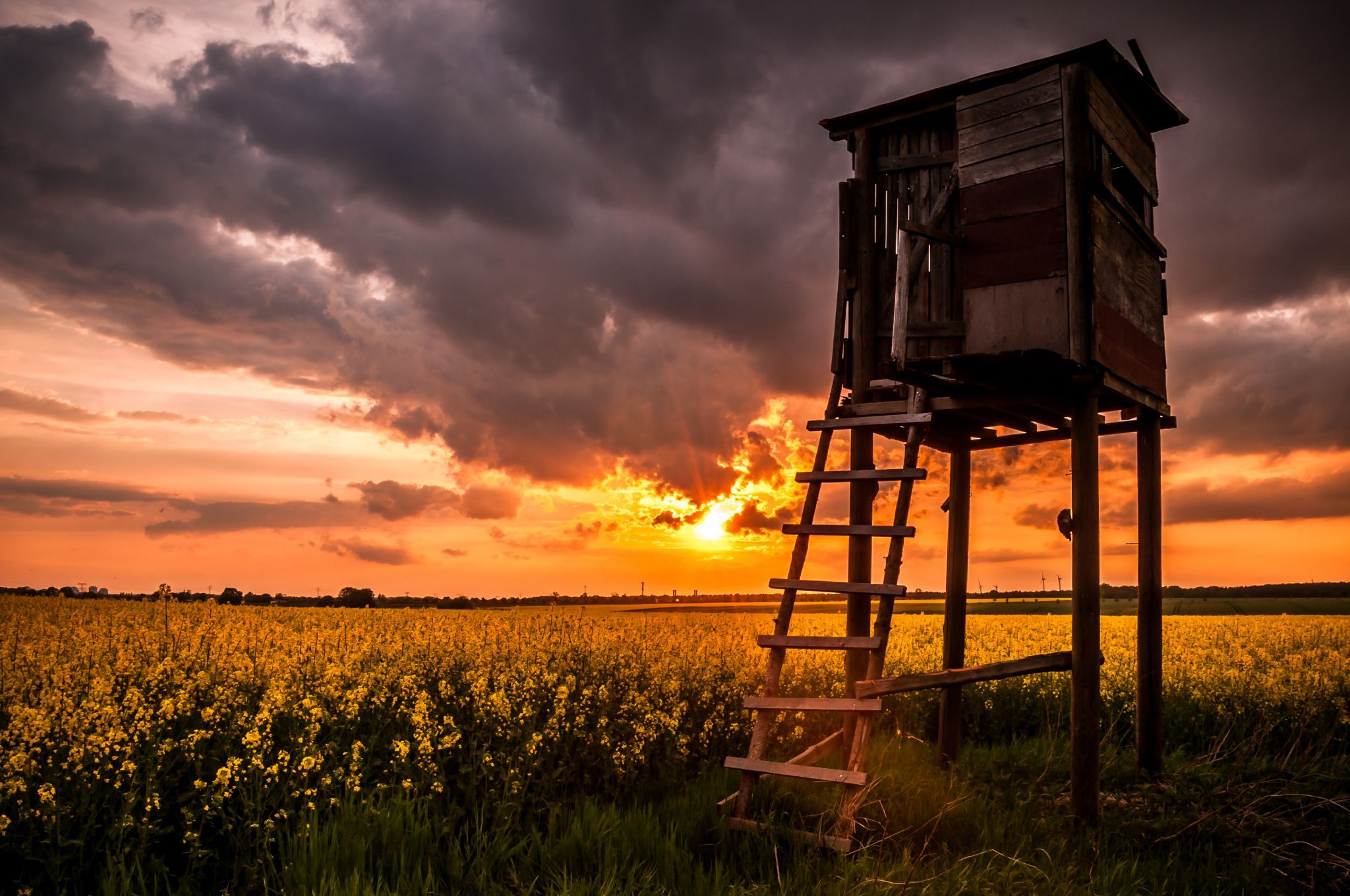 Fields of Marzahn, Germany