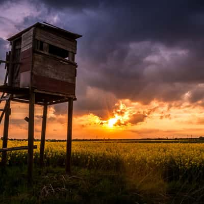 Fields of Marzahn, Germany