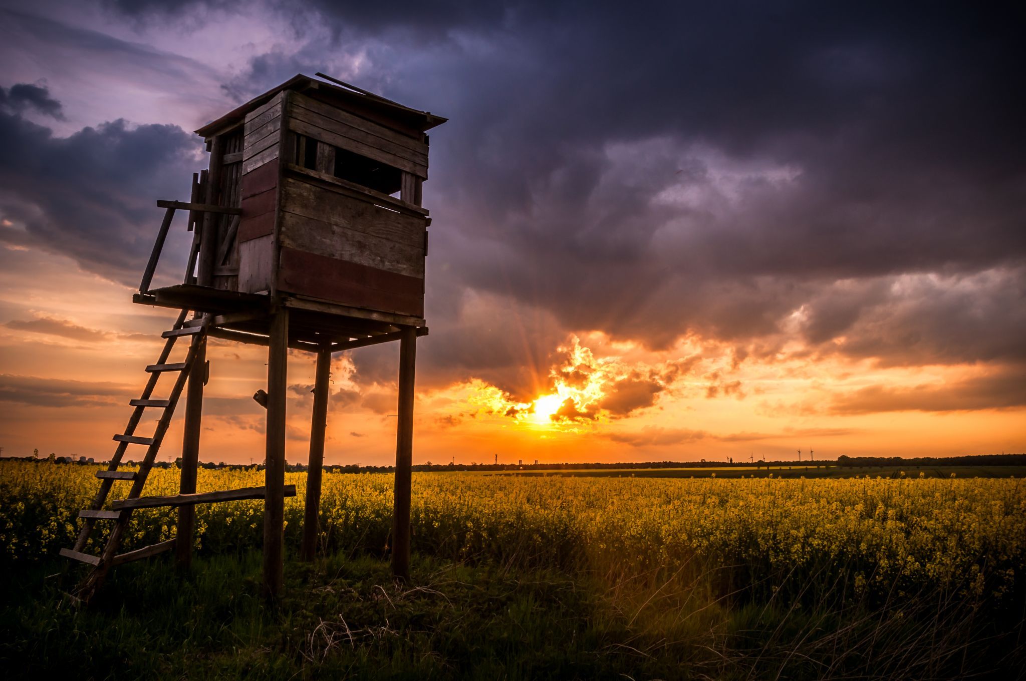 Fields of Marzahn, Germany