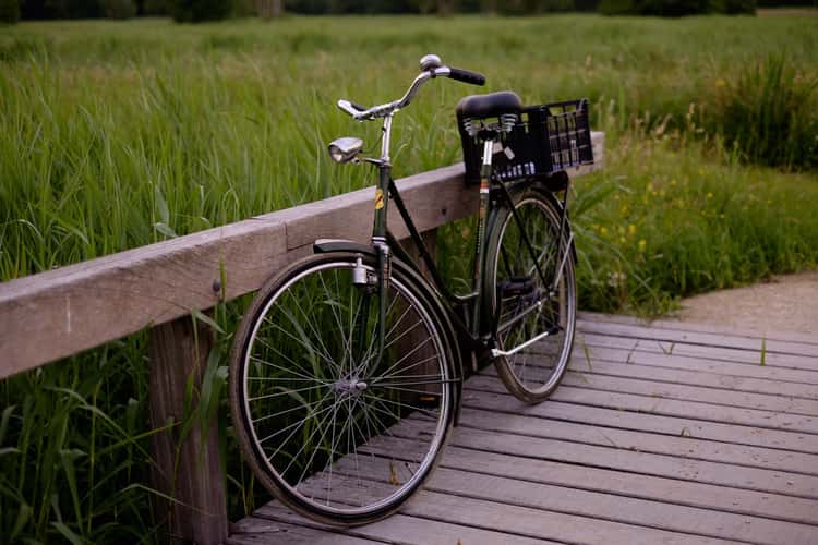 Het Amsterdamse Bos