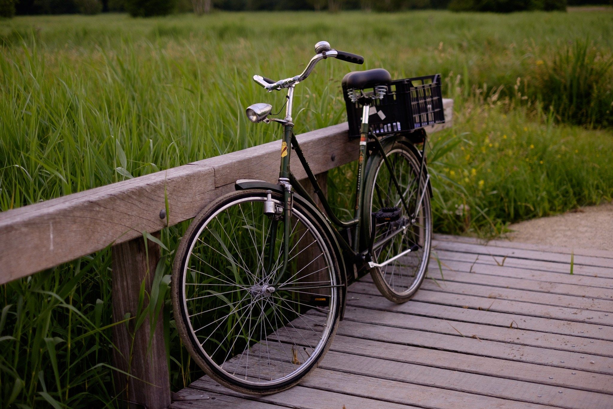 Het Amsterdamse Bos, Netherlands
