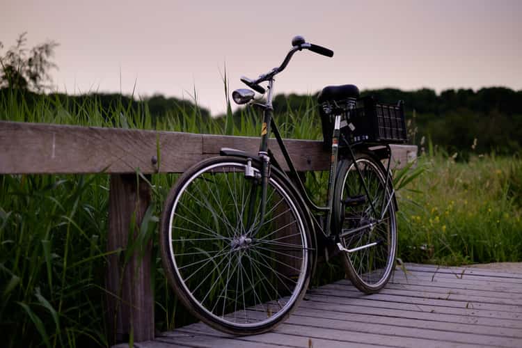 Het Amsterdamse Bos