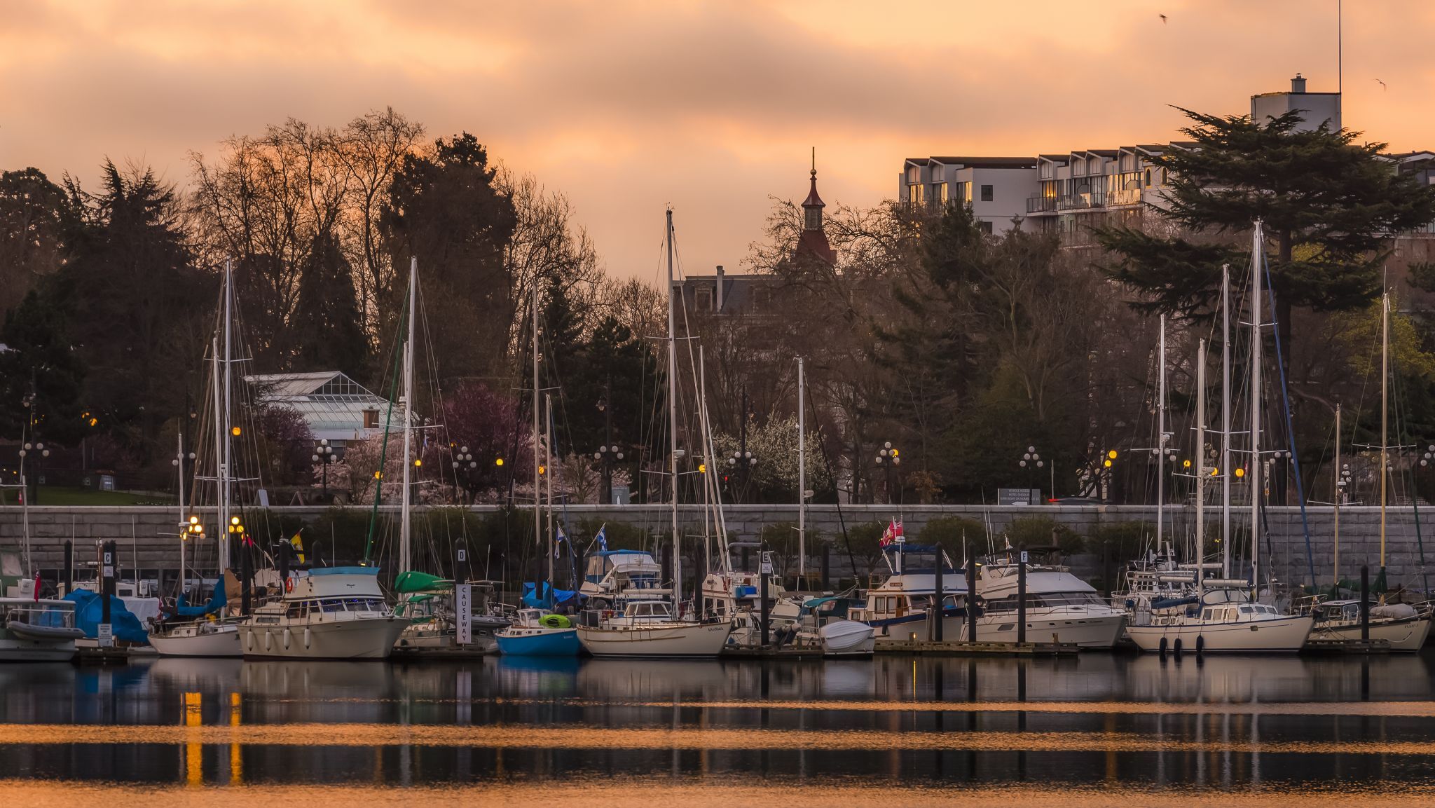 Inner Harbour just before Sunrise, Canada