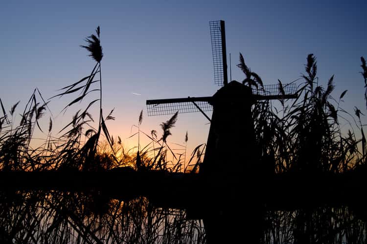 Kinderdijk