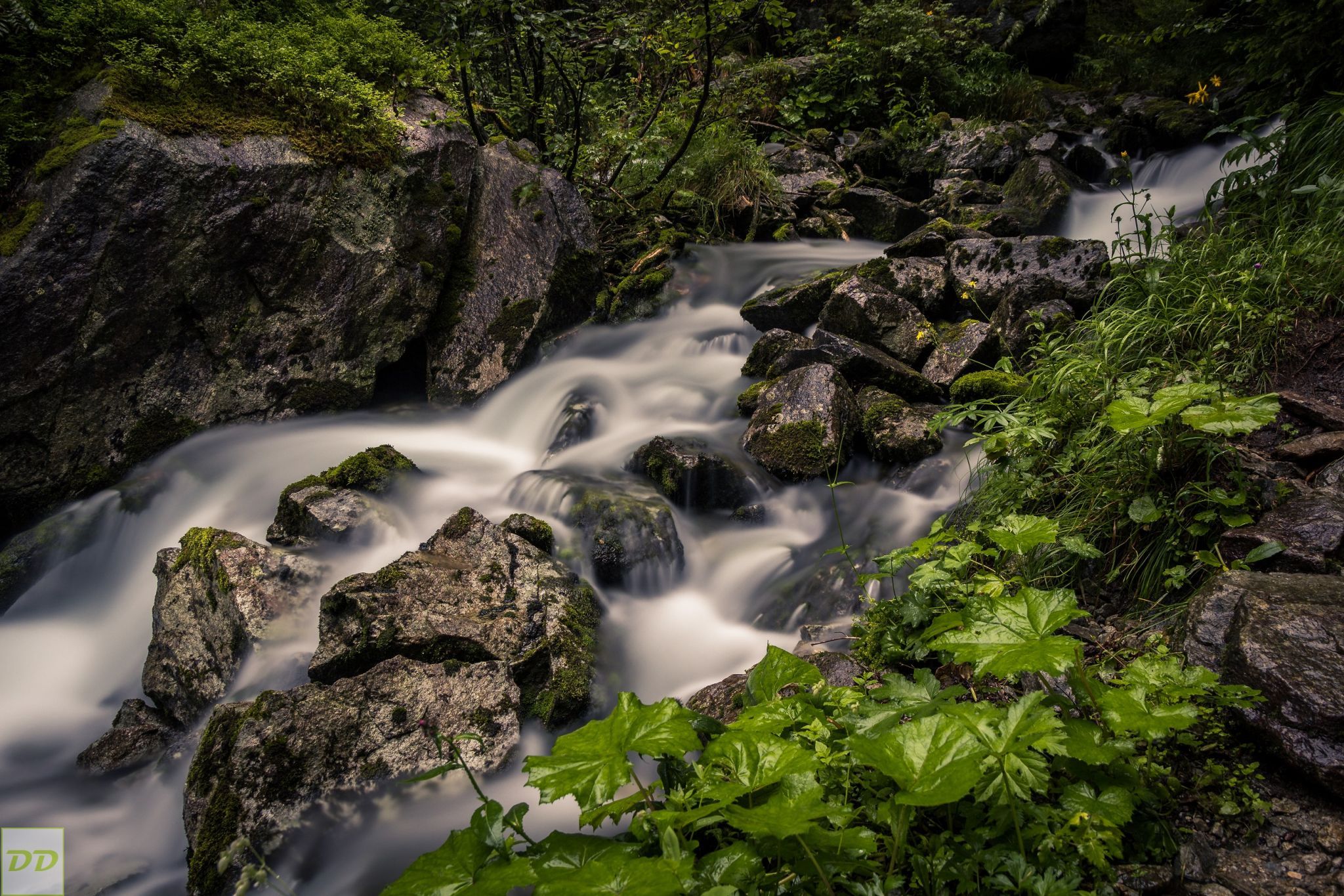 Kolmbach, Nature and Schödersee, Austria