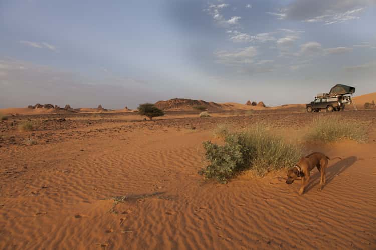 Meroe pyramids, Sudan