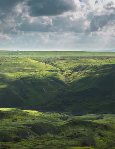 Nahal Tavor