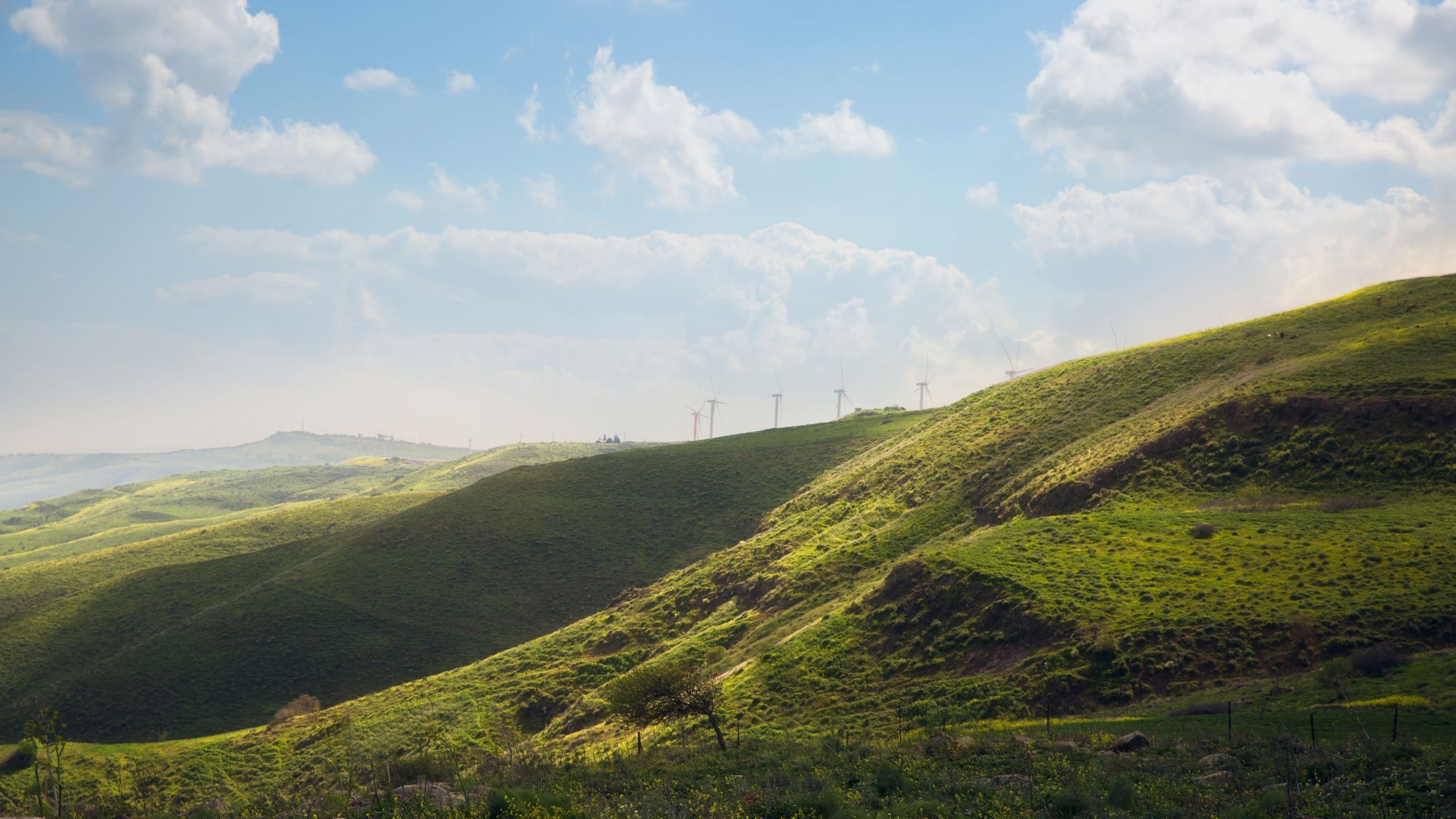 Nahal Tavor, Israel