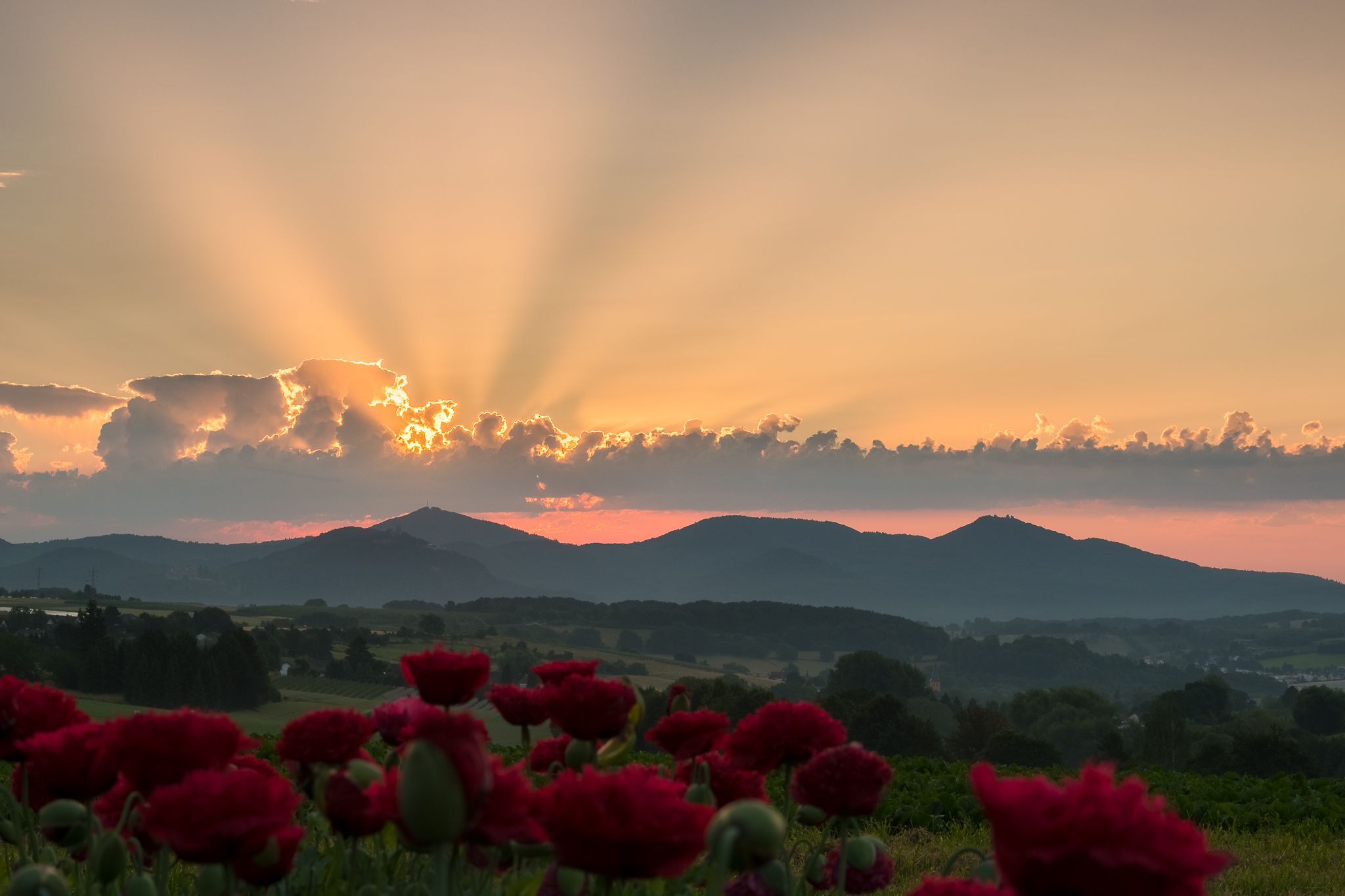Panoramic view of the Siebengebirge, Germany