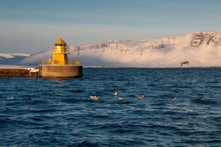 North Mole Head Lighthouse, Reykjavik