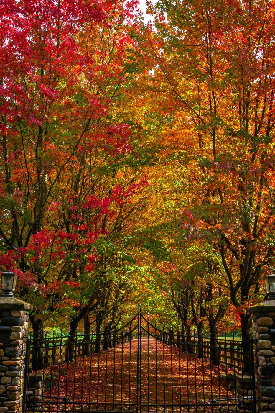 Rockwood Farm, USA
