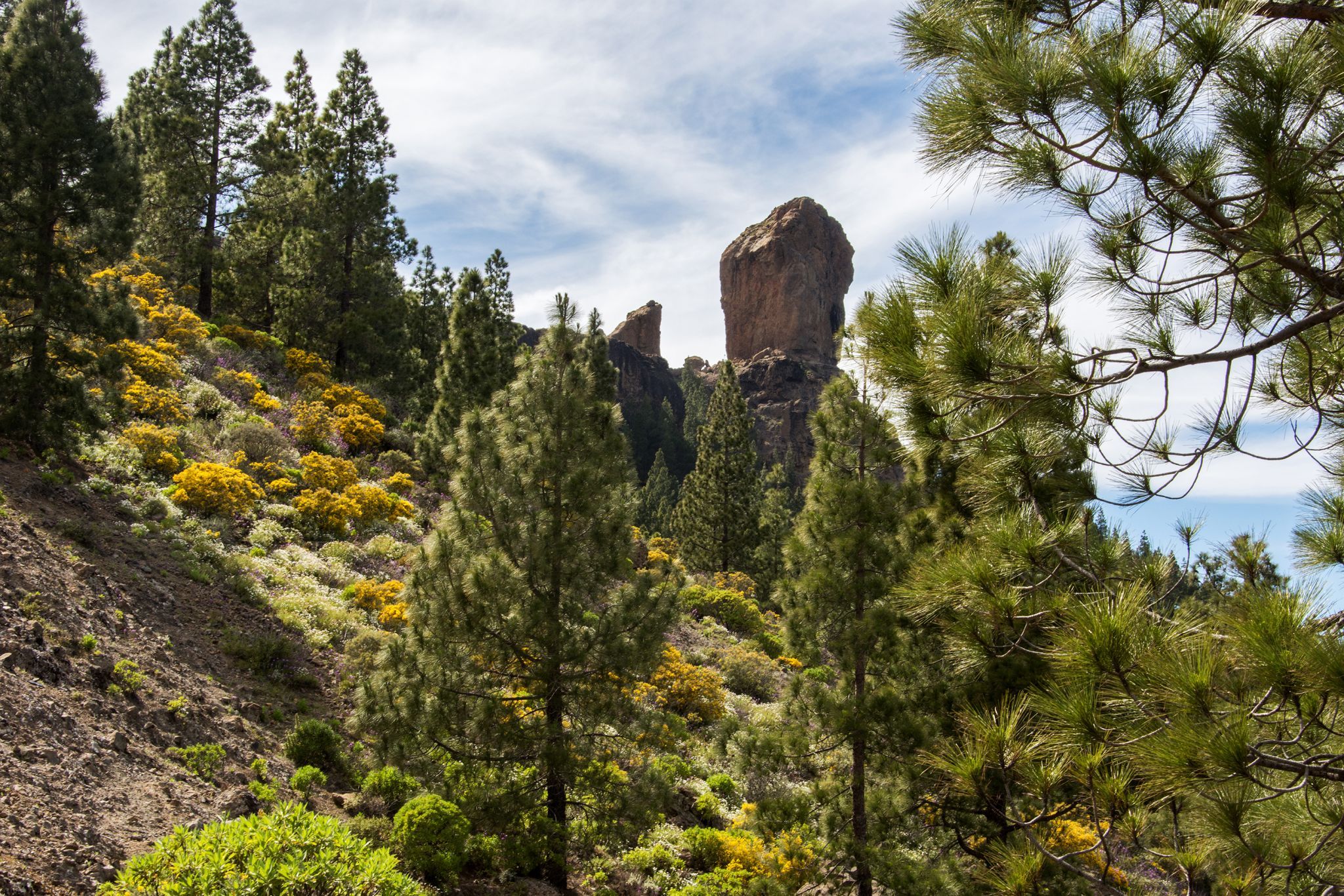 Roque Nublo, Spain