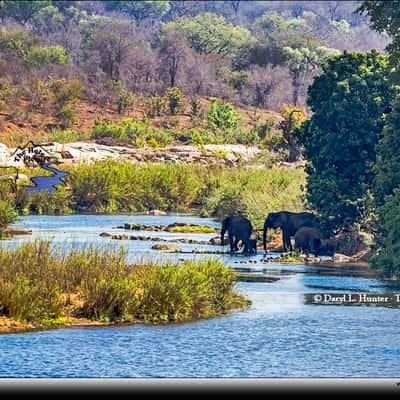 Sabi River, South Africa