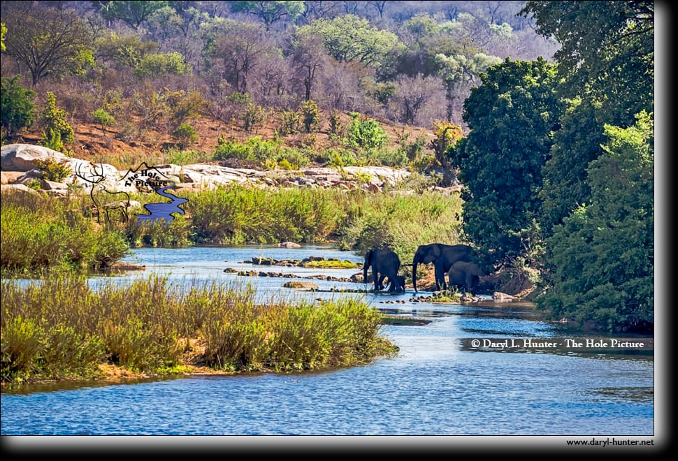Sabi River, South Africa