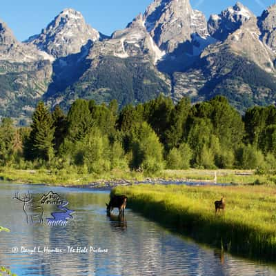 Shwabacker Landing, Grand Teton National Park, USA