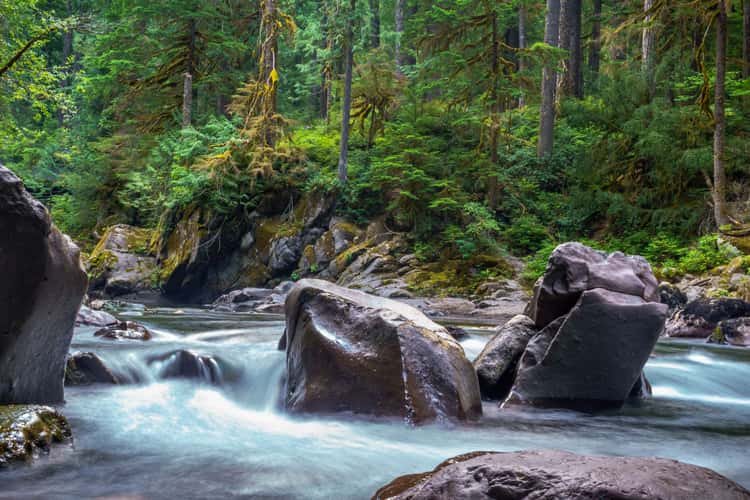 Silver Falls Loop